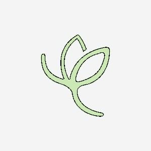 microneedling + LED facial near me